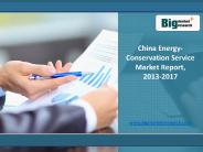 2013-2017 China Energy-Conservation Service Market Trends