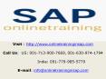 SAP Security Training Course Online and Placement - Online Training in SAP PowerPoint PPT Presentation