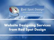 Website Designing Services from Red Spot Design