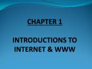 CHAPTER 1 INTRODUCTIONS TO INTERNET