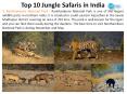 Top 10 Jungle Safaris in India
