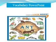 Vocabulary PowerPoint