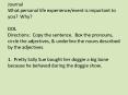 Journal What personal life experience/event is important to you? Why? DOL Directions: Copy the sentence. Box the pronouns, circle the adjectives, PowerPoint PPT Presentation