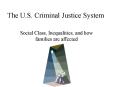 The U.S. Criminal Justice System PowerPoint PPT Presentation
