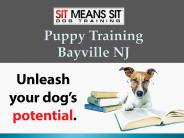 Puppy Training Bayville NJ