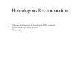 Homologous Recombination PowerPoint PPT Presentation