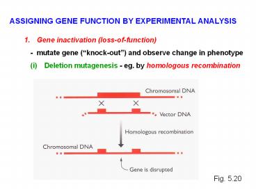 ASSIGNING GENE FUNCTION BY EXPERIMENTAL ANALYSIS