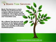 Tree pruning services in Gold Coast