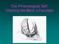 The Phrenological Self: Charting the Mind PowerPoint PPT Presentation