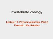 Invertebrate Zoology