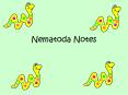 Nematoda Notes PowerPoint PPT Presentation