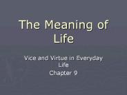 The Meaning of Life