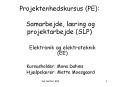 Projektenhedskursus (PE):  Samarbejde, l PowerPoint PPT Presentation