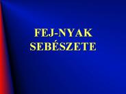 FEJ-NYAK%20SEB