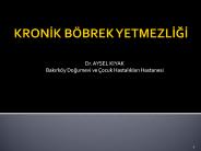 KRONIK B