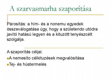 A szarvasmarha szapor
