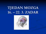 TJEDAN MOZGA 16. 
