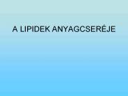 A%20LIPIDEK%20ANYAGCSER