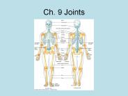 Ch. 9 Joints