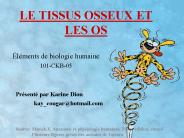 LE TISSUS OSSEUX ET LES OS