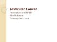 Testicular Cancer PowerPoint PPT Presentation