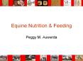 Equine Nutrition PowerPoint PPT Presentation