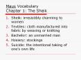 Maus Vocabulary Chapter 1: The Sheik PowerPoint PPT Presentation
