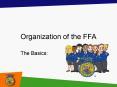 Organization of the FFA PowerPoint PPT Presentation