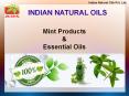 Natural Mint Products and Essential Oils PowerPoint PPT Presentation