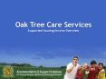Oak Tree Care Services Supported Housing Service Overview PowerPoint PPT Presentation