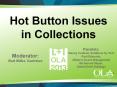 Hot Button Issues in Collections PowerPoint PPT Presentation