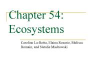 Chapter 54: Ecosystems