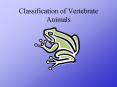 Classification of Vertebrate Animals PowerPoint PPT Presentation