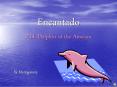 Encantado Pink Dolphin of the Amazon PowerPoint PPT Presentation