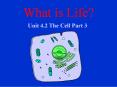 What is Life? PowerPoint PPT Presentation