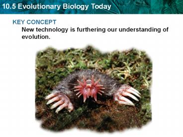 KEY CONCEPT New technology is furthering our understanding of evolution.