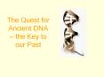 The Quest for Ancient DNA  PowerPoint PPT Presentation