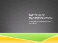 Patterns of Macroevolution PowerPoint PPT Presentation