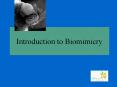 Introduction to Biomimicry PowerPoint PPT Presentation