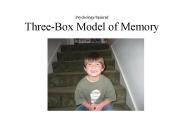 Psychology/Spinrad Three-Box Model of Memory