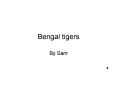 Bengal tigers PowerPoint PPT Presentation
