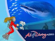 Scuba Diving in Thailand