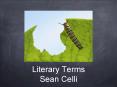 Literary Terms Sean Celli PowerPoint PPT Presentation
