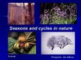 Seasons and cycles in nature PowerPoint PPT Presentation