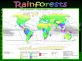 Rainforests PowerPoint PPT Presentation