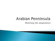 Arabian Penninsula