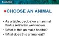 CHOOSE AN ANIMAL PowerPoint PPT Presentation