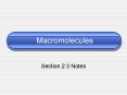 Macromolecules PowerPoint PPT Presentation
