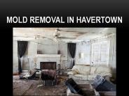 MOLD REMOVAL IN HAVERTOWN