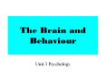 The Brain and Behaviour PowerPoint PPT Presentation